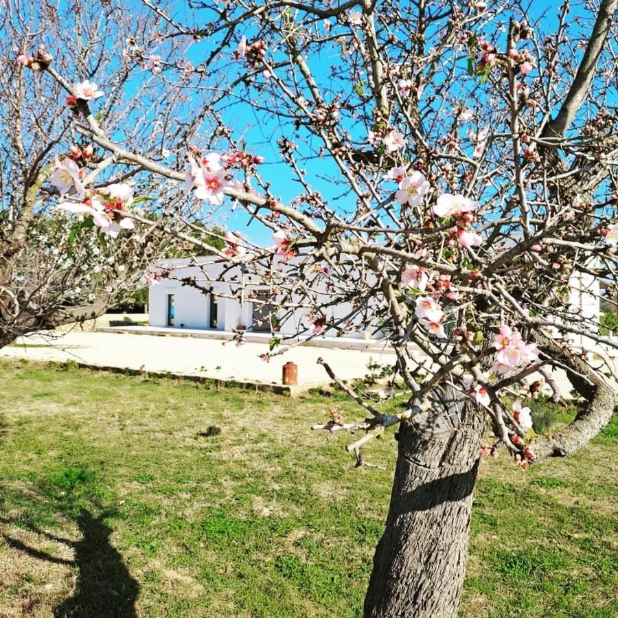Casina Pompiliano Διαμέρισμα Nardò Εξωτερικό φωτογραφία
